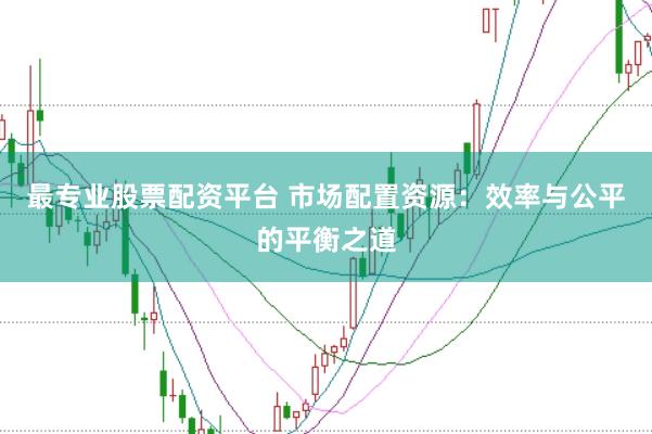 最专业股票配资平台 市场配置资源：效率与公平的平衡之道