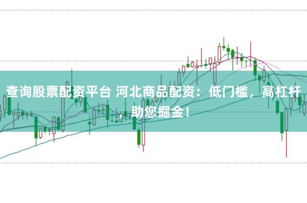 查询股票配资平台 河北商品配资：低门槛，高杠杆，助您掘金！