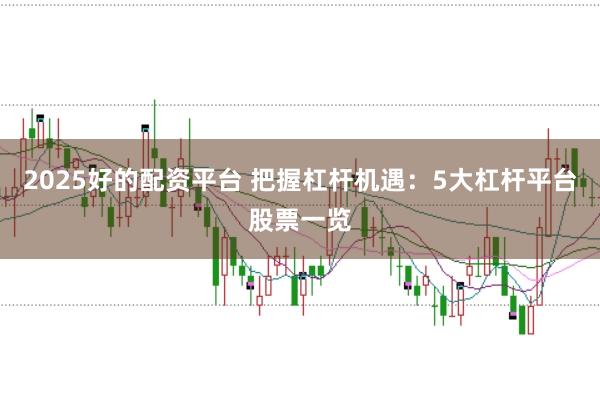 2025好的配资平台 把握杠杆机遇：5大杠杆平台股票一览