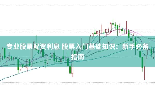 专业股票配资利息 股票入门基础知识：新手必备指南