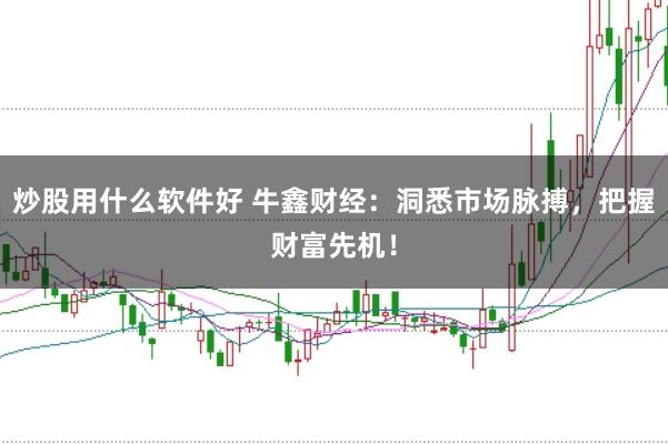 炒股用什么软件好 牛鑫财经：洞悉市场脉搏，把握财富先机！