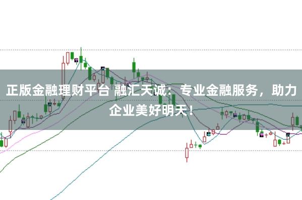 正版金融理财平台 融汇天诚：专业金融服务，助力企业美好明天！