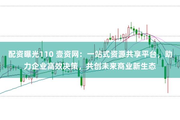 配资曝光110 壹资网：一站式资源共享平台，助力企业高效决策，共创未来商业新生态