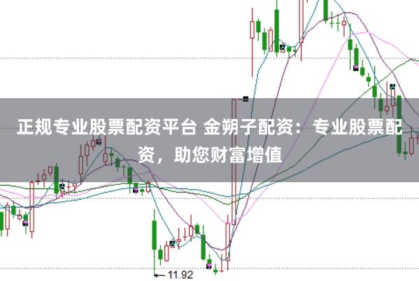 正规专业股票配资平台 金朔子配资：专业股票配资，助您财富增值