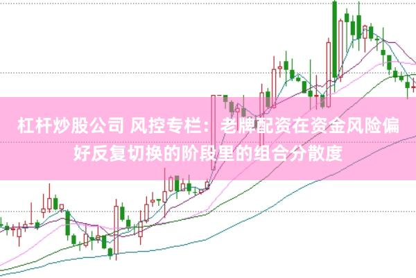 杠杆炒股公司 风控专栏：老牌配资在资金风险偏好反复切换的阶段里的组合分散度