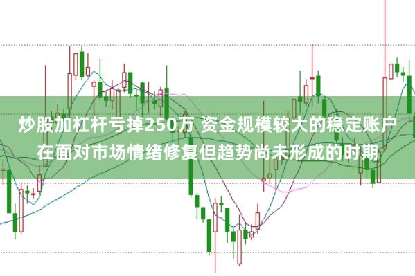 炒股加杠杆亏掉250万 资金规模较大的稳定账户在面对市场情绪修复但趋势尚未形成的时期